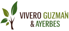 Vivero Guzmán & Ayerbes