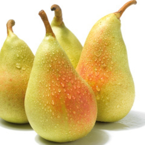 pera ercolina