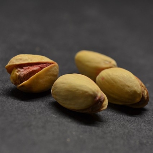 pistachos hembras